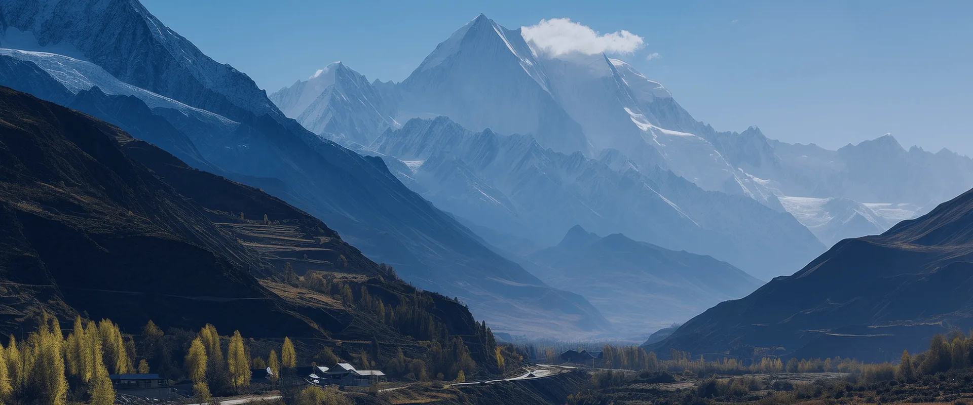 QI HUI - Professional Foreign Enterprise Services