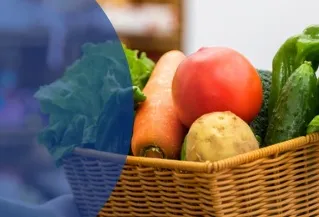 食品许可证申请