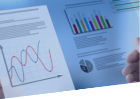 Internal Audit Services